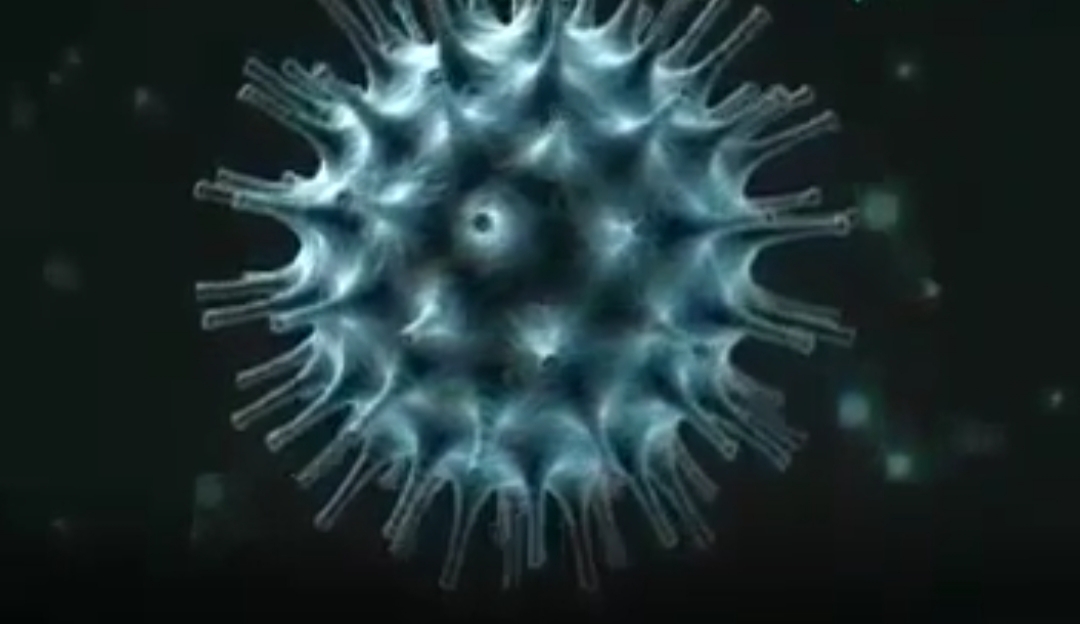 Waspadai penyebaran Virus corona, kenali ciri gejalanya